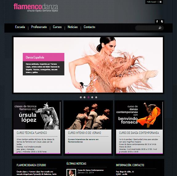 Flamenco Danza